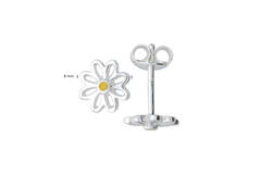  Ear studs Enamel - 