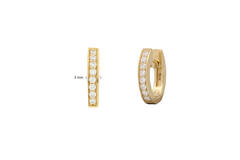  Earrings - Oval