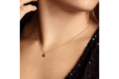  Collier - Rond - Palmier, Vossenstaart - 14k Goud - 45cm Elements of Love - 