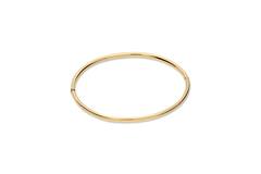  Armreifen - Golden Armour Bangles - Oval - 4mm - Ø 60mm