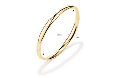 Bangle - Golden Armour Bangles - Scharnier - Ovaal - 5mm - Ø 58mm