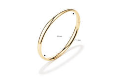  Bangle - Golden Armour Bangles - Scharnier - Ovaal - 5mm - Ø 62mm