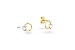  Boucles d'oreilles à puces - Cœur