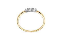  Ringe - Memoire - 0.15ct