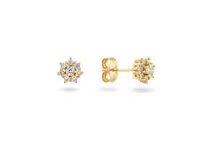  Ear studs - Rosette - 0.25ct