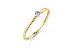  Ringen - Solitaire Classique - 0.05ct