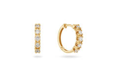  Oorringen - Memoire - 0.5ct
