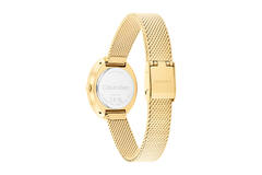  Twisted Bezel - Ø24 - Goldfarbig