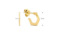 Hexagon Flat Earrings - 10mm - 585