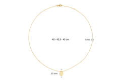 Jackie Erasmus Necklace - 45-47,5-50cm - 585