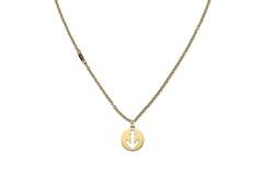  Collier - Staal - 46-50 cm